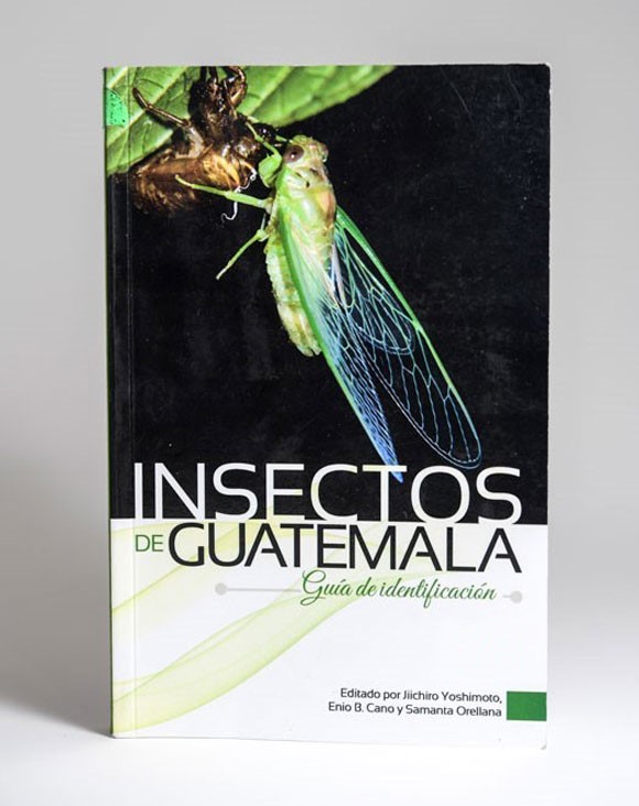Insects book Flaar studio