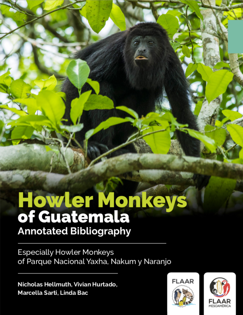 Howler Monkeys of Guatemala