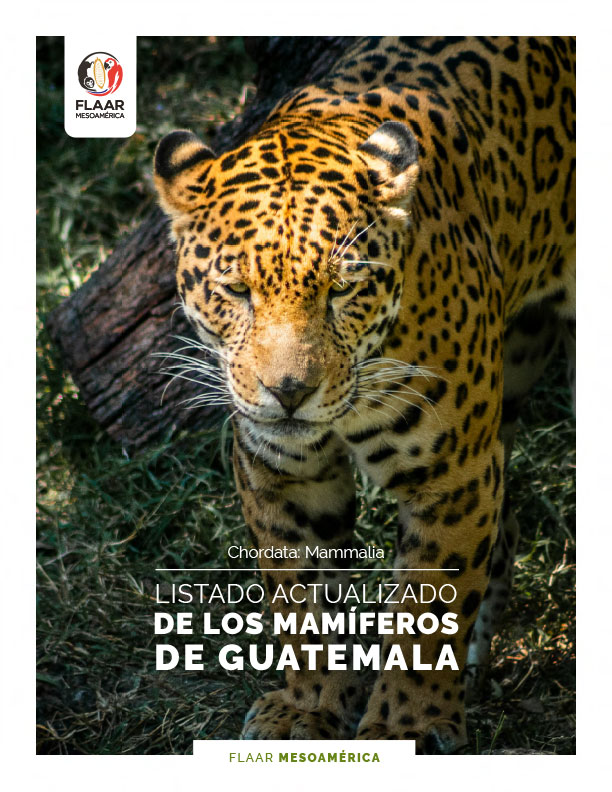Listado Actualizado de Mamíferos de Guatemala