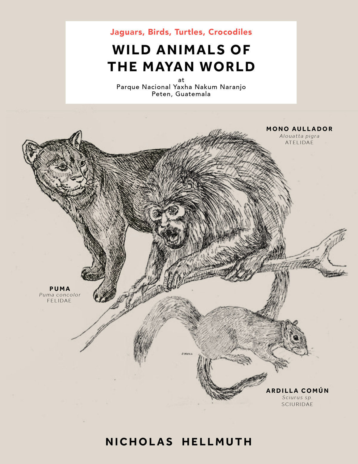 Wild Animals of the Mayan World
