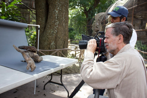 Dr. Hellmuth taking photographs of a Heloderma in the La Aurora National Zoo. Photo by Sofia Monzon, September 2011