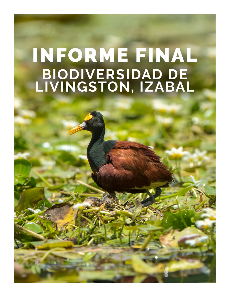 Informe Final Proyecto Documentacion de Biodiversidad de Livingston